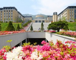 부산외대, 고용노동부 '2025년 졸업생 특화 프로그램' 사업 선정