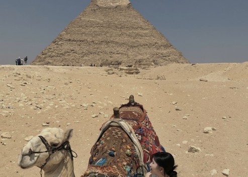 [이집트 2025 - 24학번 - 나유경] 아랍전공 하계 이집트 단기연수 후기