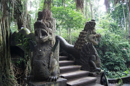 몽키 포레스트 Ⅰ