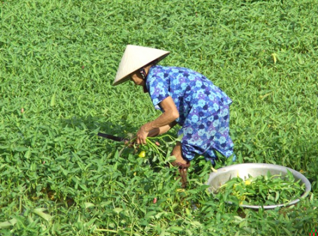 호이안의 시간을 걷다 Ⅰ