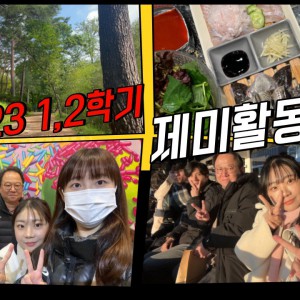 제미(ゼミ) 활동