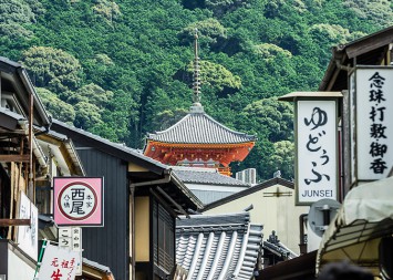 11학번 이근영: 항공사 지상직 승무원(일본)