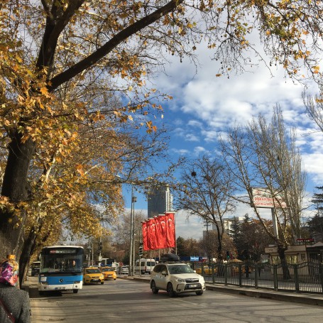 터키어전공에서는 무엇을 배울까?