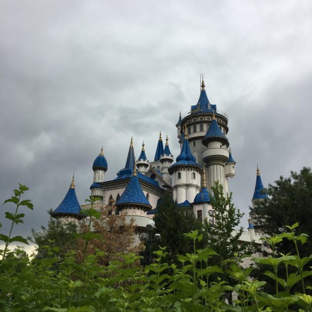 터키어전공 진로와 전망