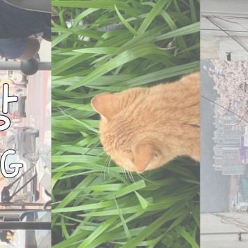 [BUFS] VLOG | 만팅이 브이로그 | 공강 브이로그 (자격증 시험, 고양이, 브런치, 카공)