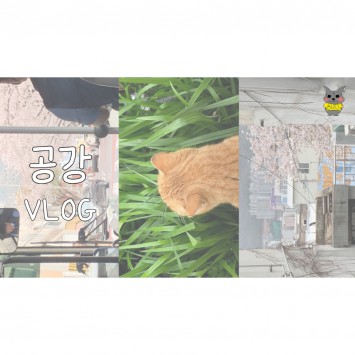 [BUFS] VLOG | 만팅이 브이로그 | 공강 브이로그 (자격증 시험, 고양이, 브런치, 카공)
