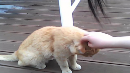 지나오다 (이영진)