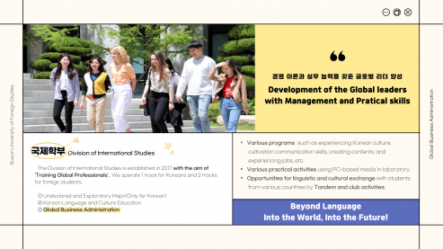 About the Division of International Studies