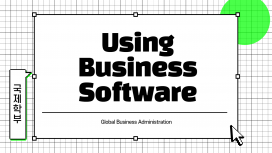Using Business Software