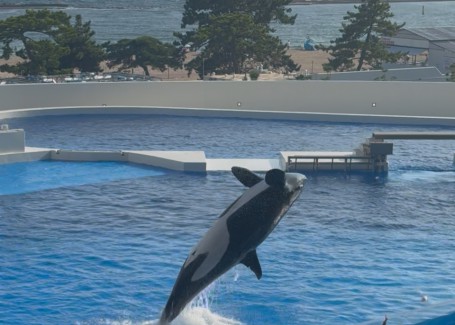 무너져도 돼, 후회만 하지 마  -이현성-