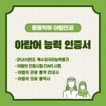 아랍전공소개7
