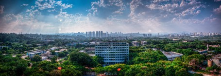 상파울루대학교