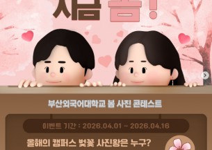 부산외대 캠퍼스, 지금 봄! 벚꽃 사진 콘테스트